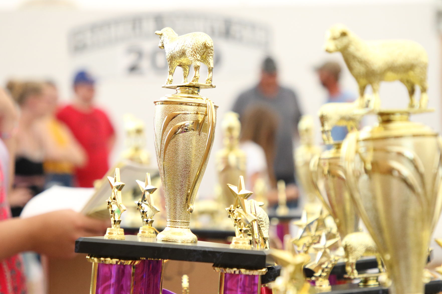 Trophies_5934.JPG